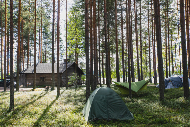 Kuvituskuvassa telttoja metsän keskellä.